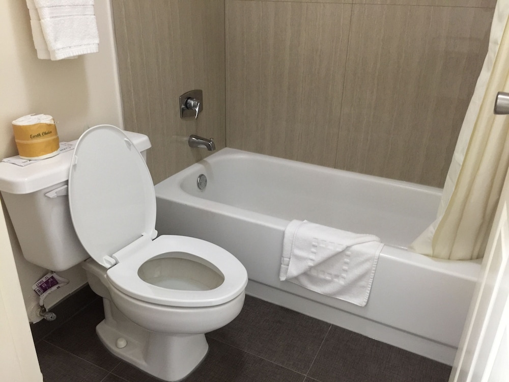 Standard Single Room photo 3