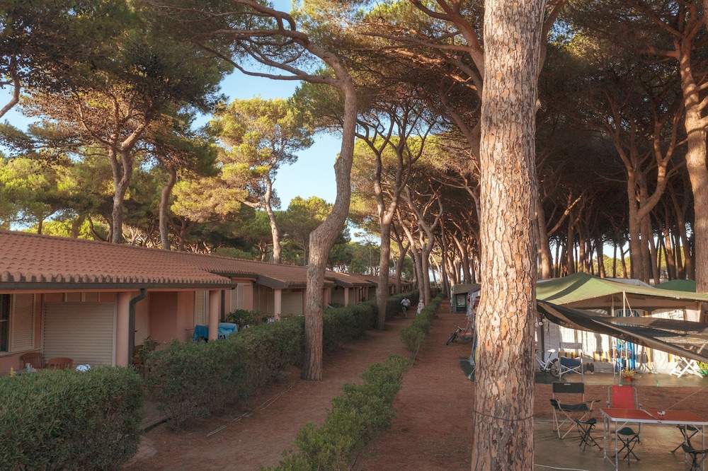 Apartment, 1 Bedroom (Orbetello) - Photo 6