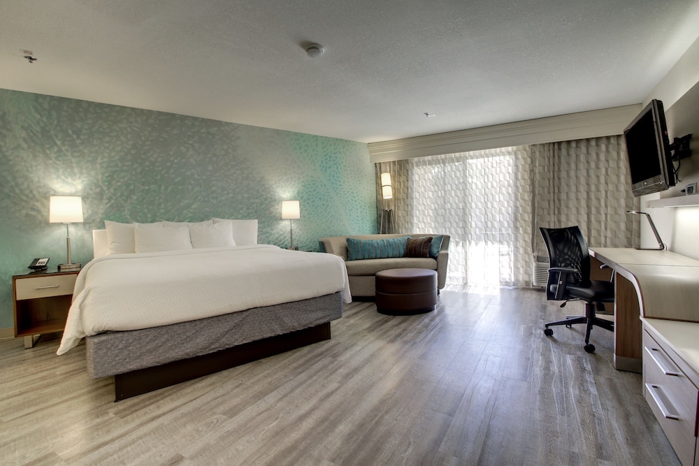 Room, 1 King Bed with Sofa bed (Mobility/Hearing Access, Roll-In Shwr) photo 3