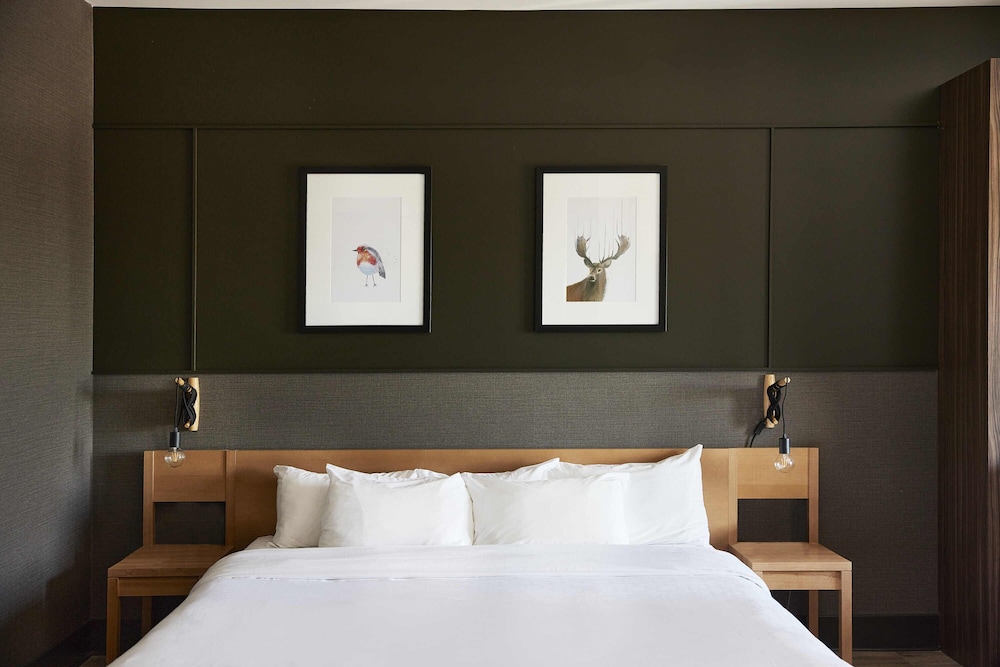 Executive Studio Suite, 1 Queen Bed with Sofa bed photo 2