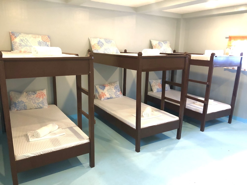Basic Shared Dormitory, Mixed Dorm photo 1