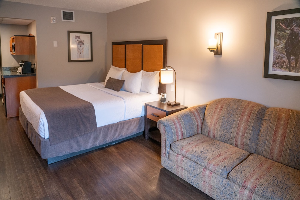 Superior Room, 1 King Bed photo 2