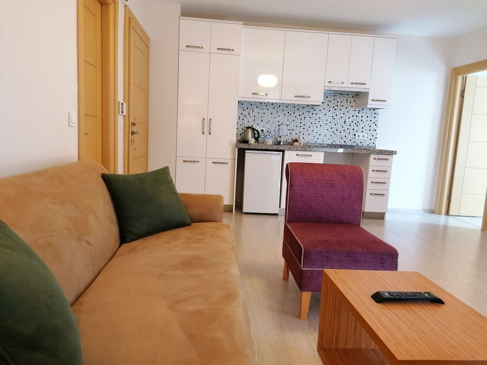 Comfort Apartment, 1 Queen Bed with Sofa bed, City View photo 1
