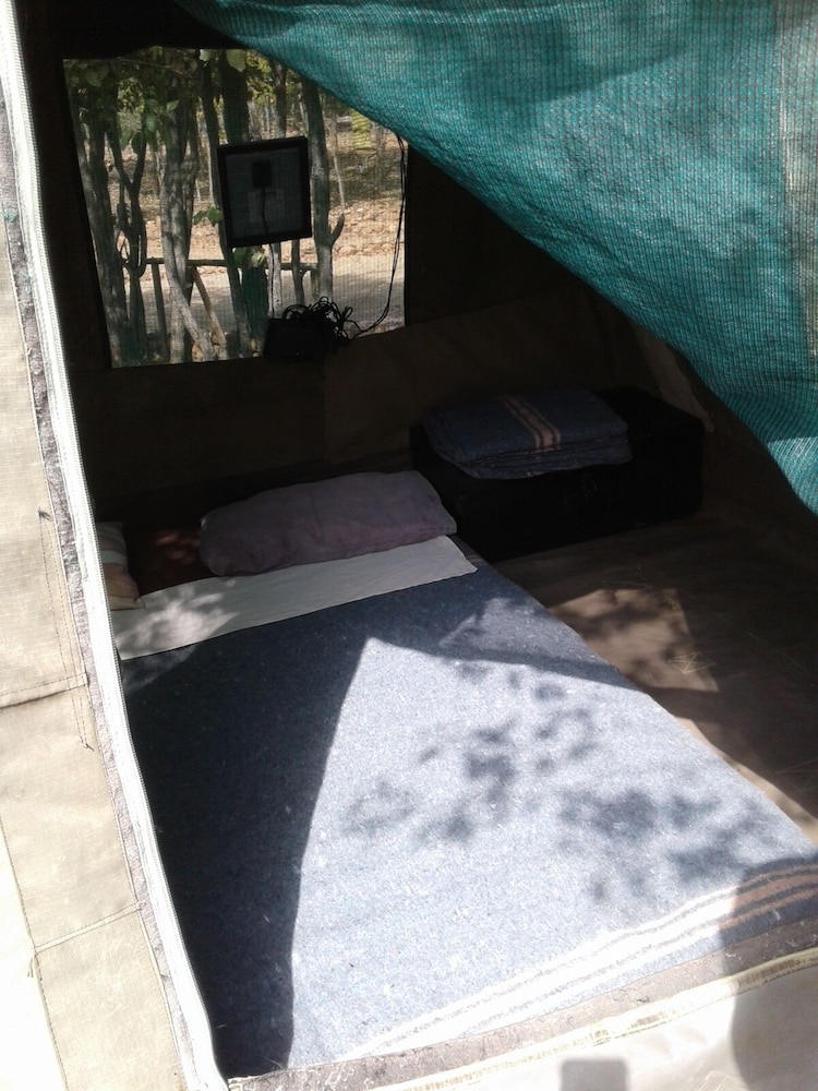 Basic Tent, 1 Bedroom photo 2