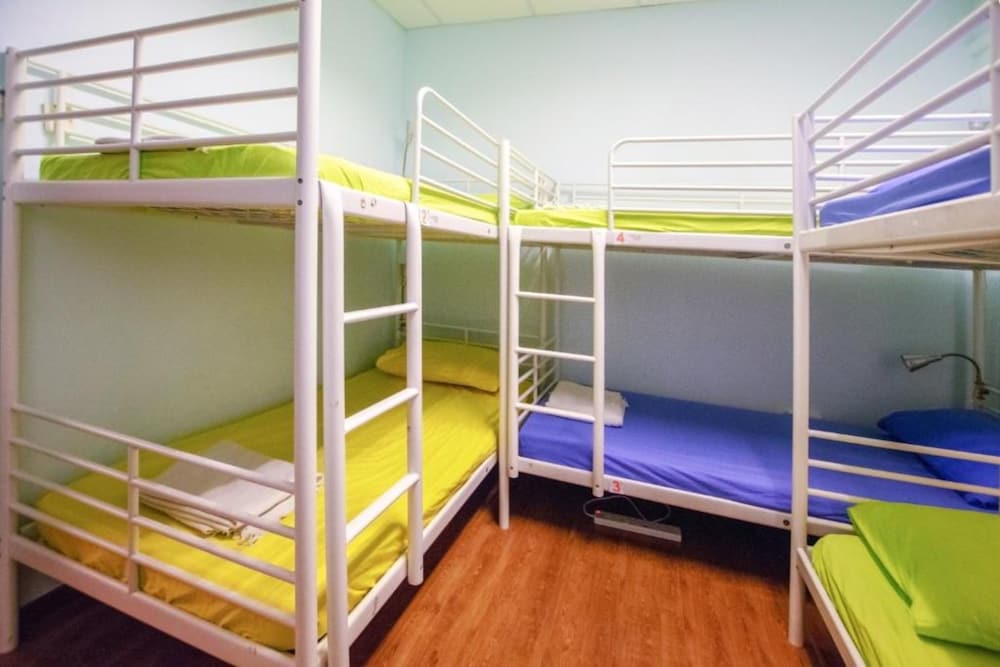 Single Bed in 14-Bed Mixed Room photo 1