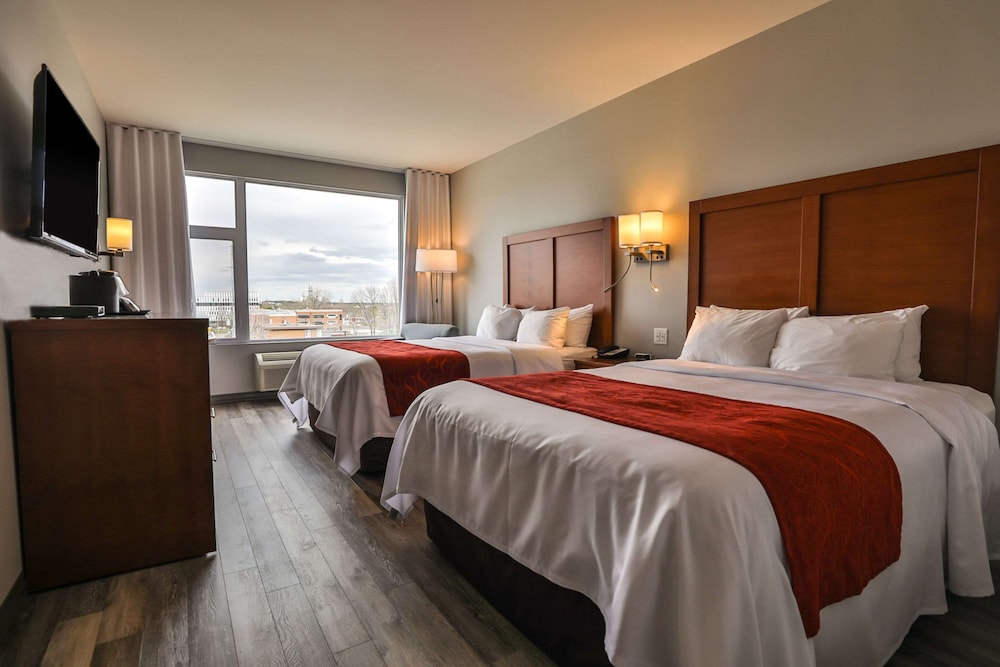Room, 2 Queen Beds photo 1