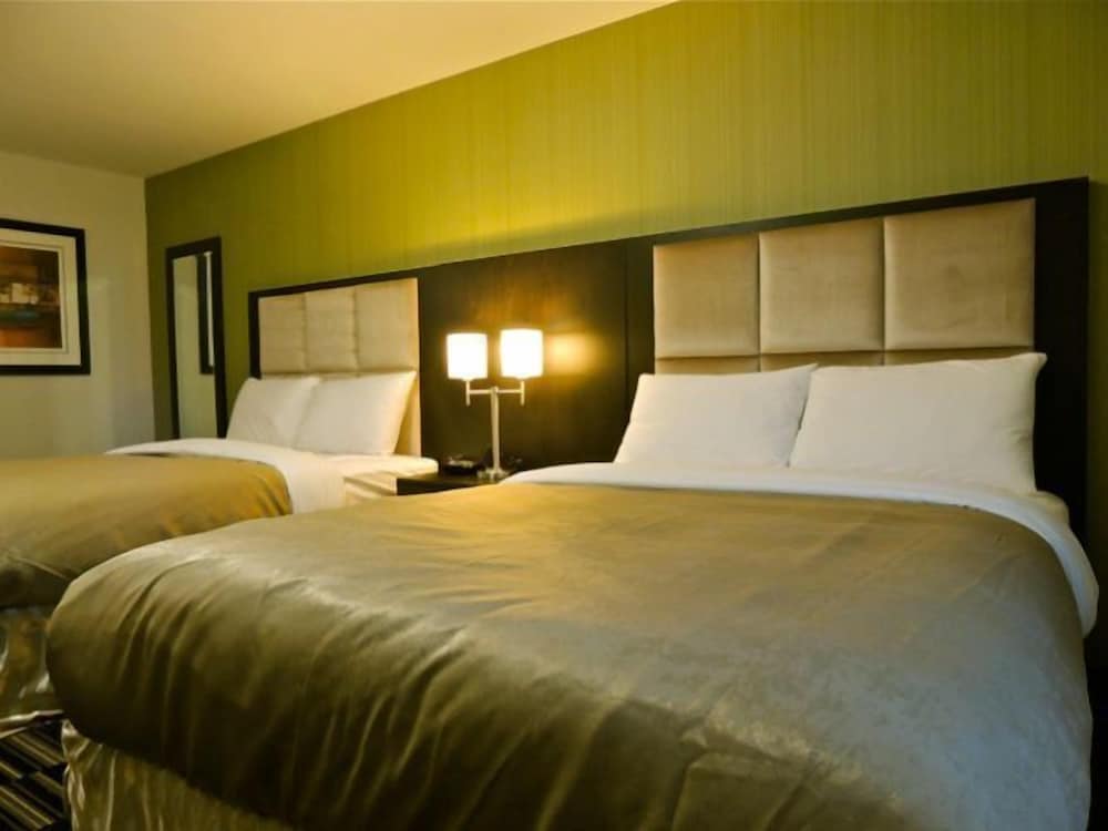 Standard Room, 2 Queen Beds
