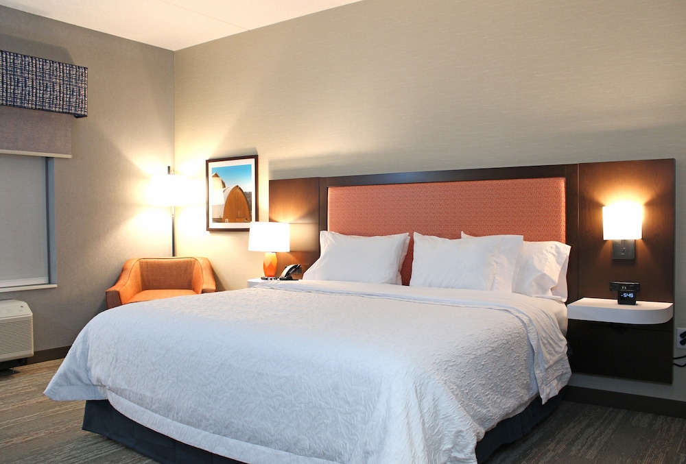 Room, 1 King Bed, Accessible (Mobility, Roll-In Shower) - Photo 2