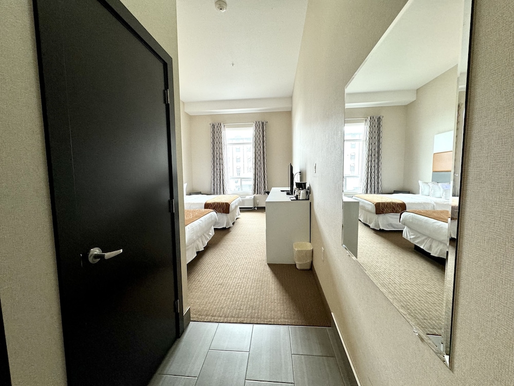 Standard Room, 2 Queen Beds, Microwave photo 2