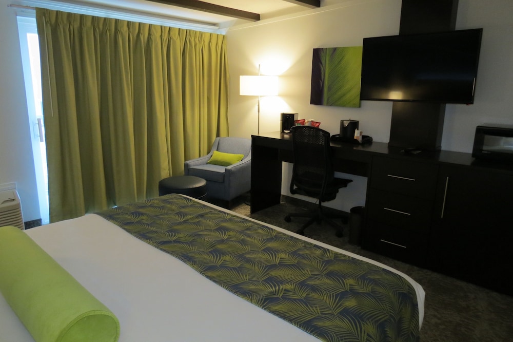Room, 1 King Bed, Accessible, Non Smoking - Photo 2