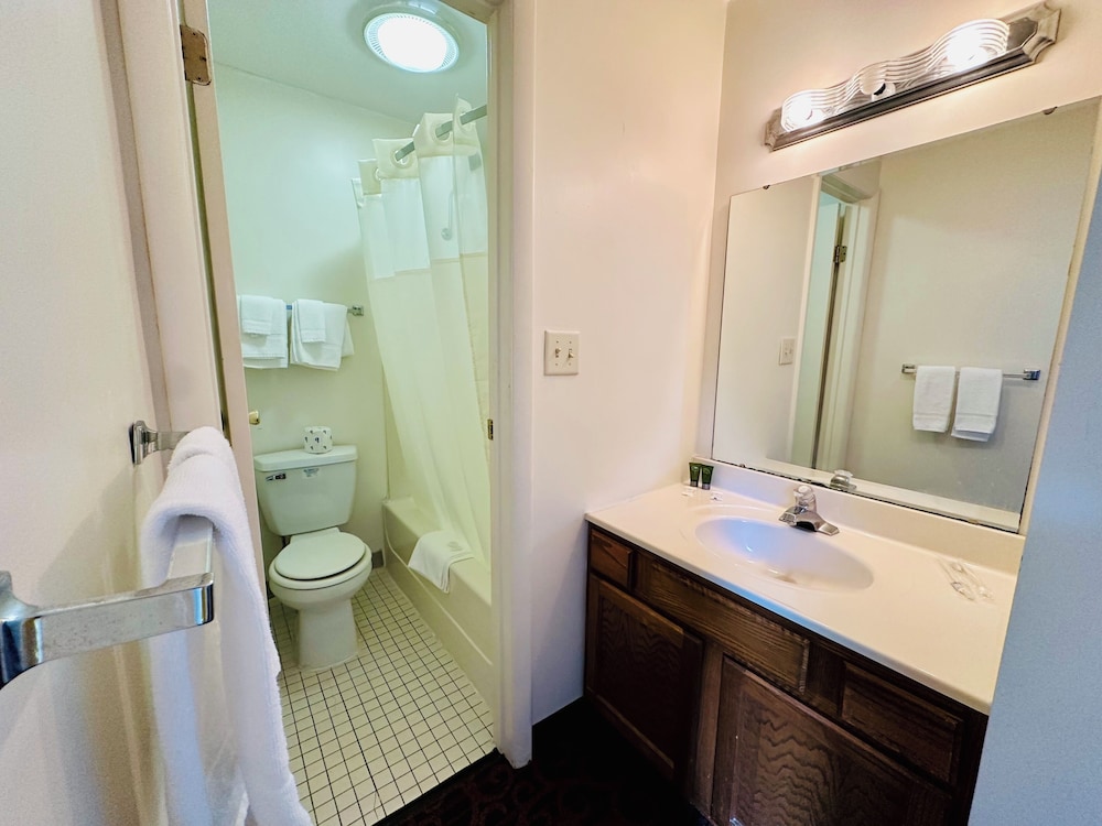 Premium Suite photo 3