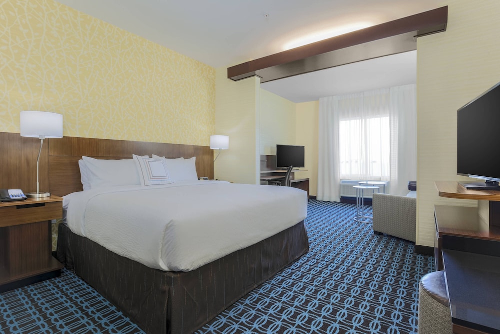 Suite, 1 King Bed with Sofa bed