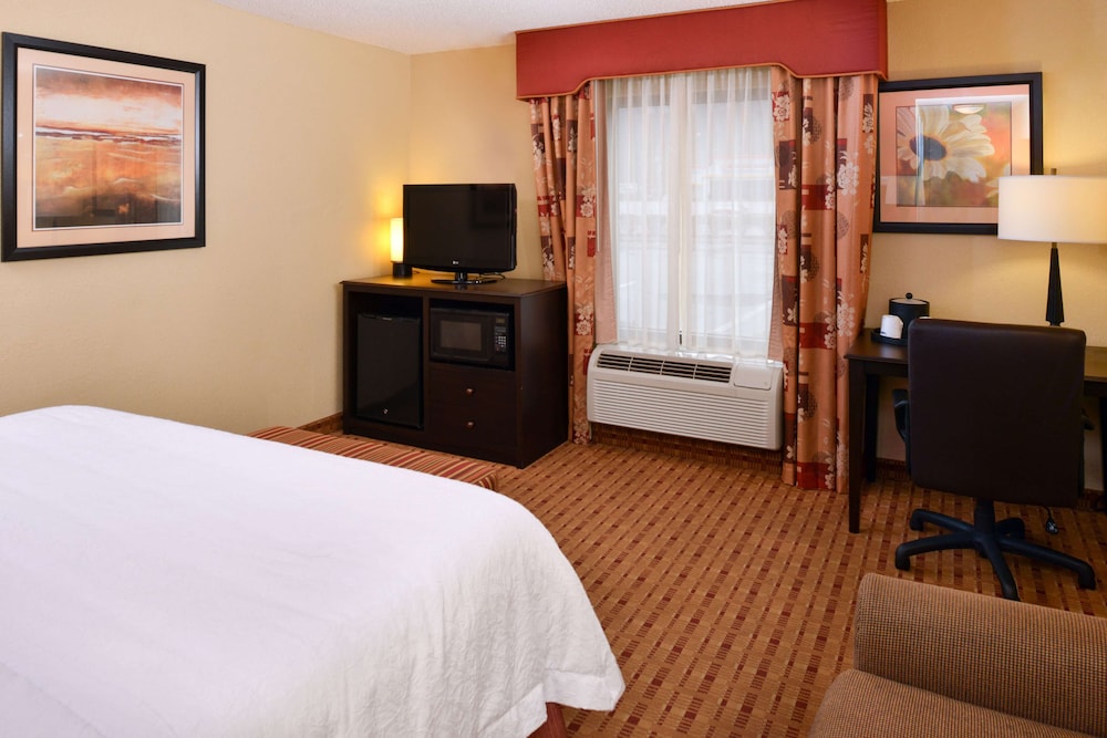Room, 1 King Bed photo 3