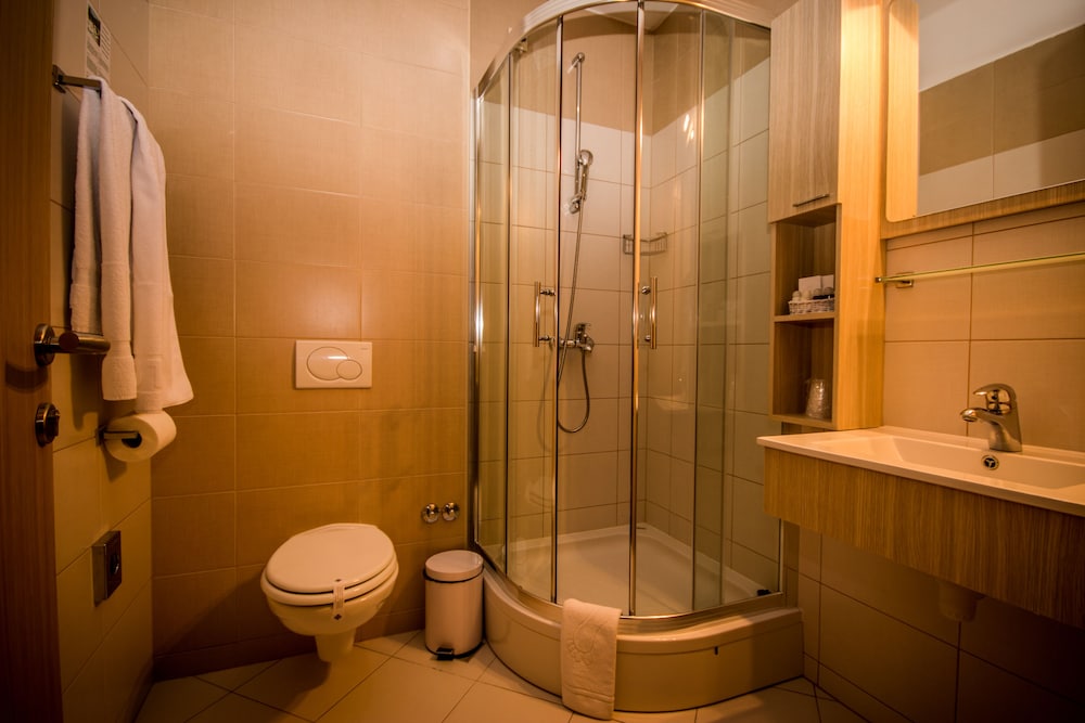 Standard Double or Twin Room, Annex Building (Single Use) - Photo 12