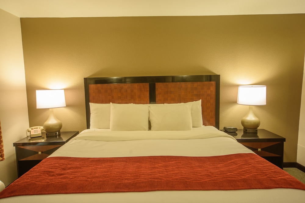 Standard Suite, 1 King Bed photo 2
