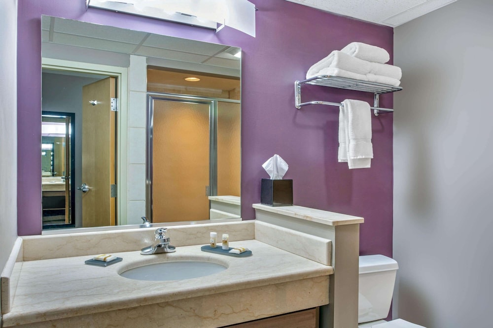 Deluxe Suite, 1 King Bed, Non Smoking photo 2
