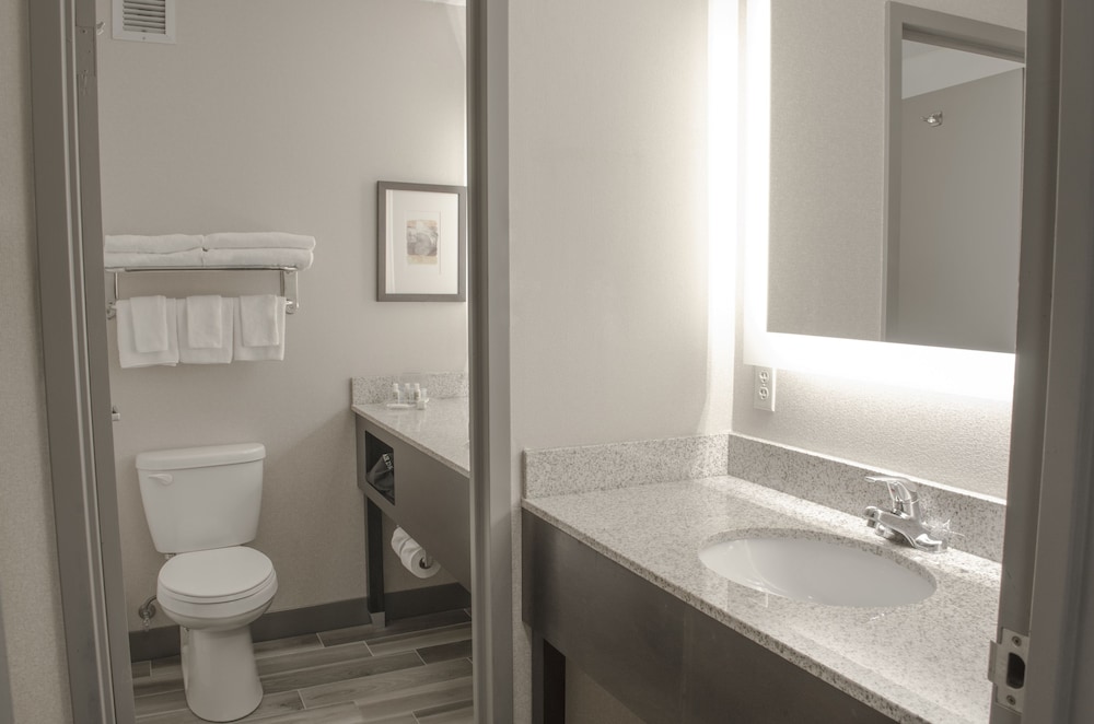 Standard Room, 1 Queen Bed, Mobility Accessible (Communications) - Photo 8