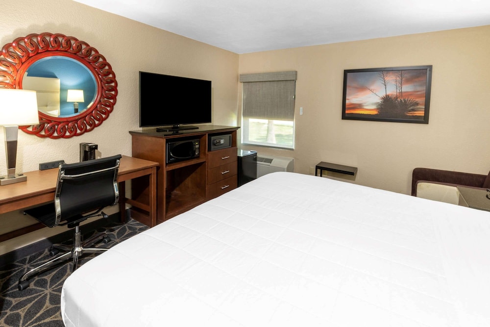 Suite, 1 Queen Bed, Non Smoking - Photo 4