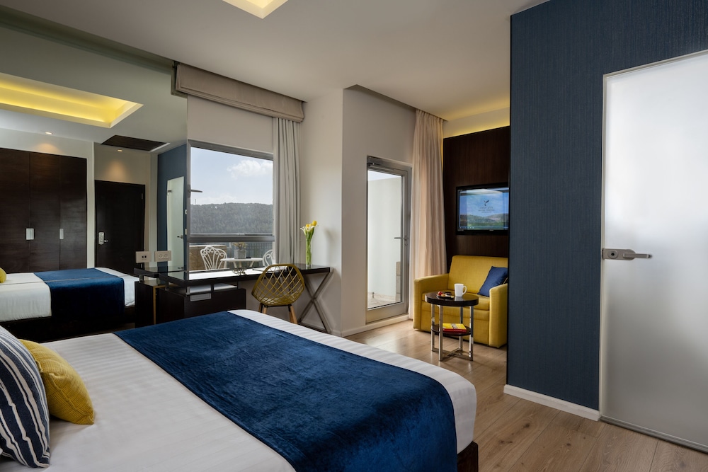 Deluxe Room photo 1