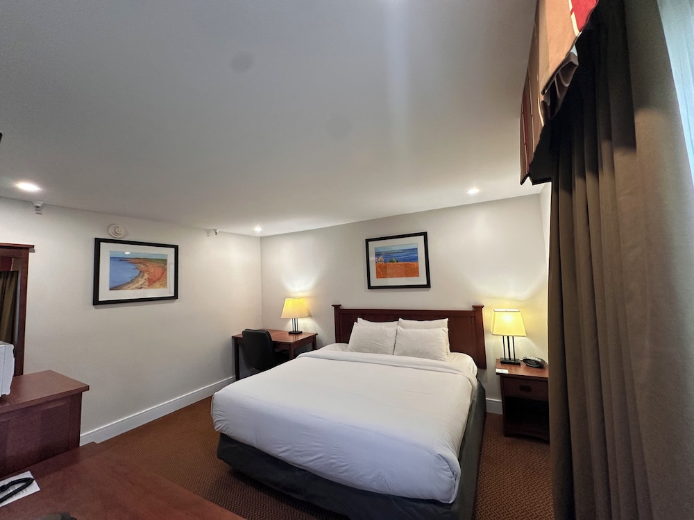 Renovated 1 King Bed - Main Building photo 1
