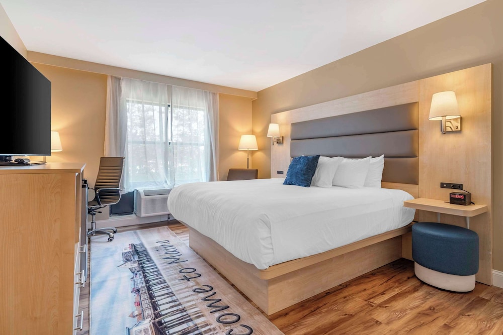 Standard Room, 1 King Bed, Non Smoking - Photo 1