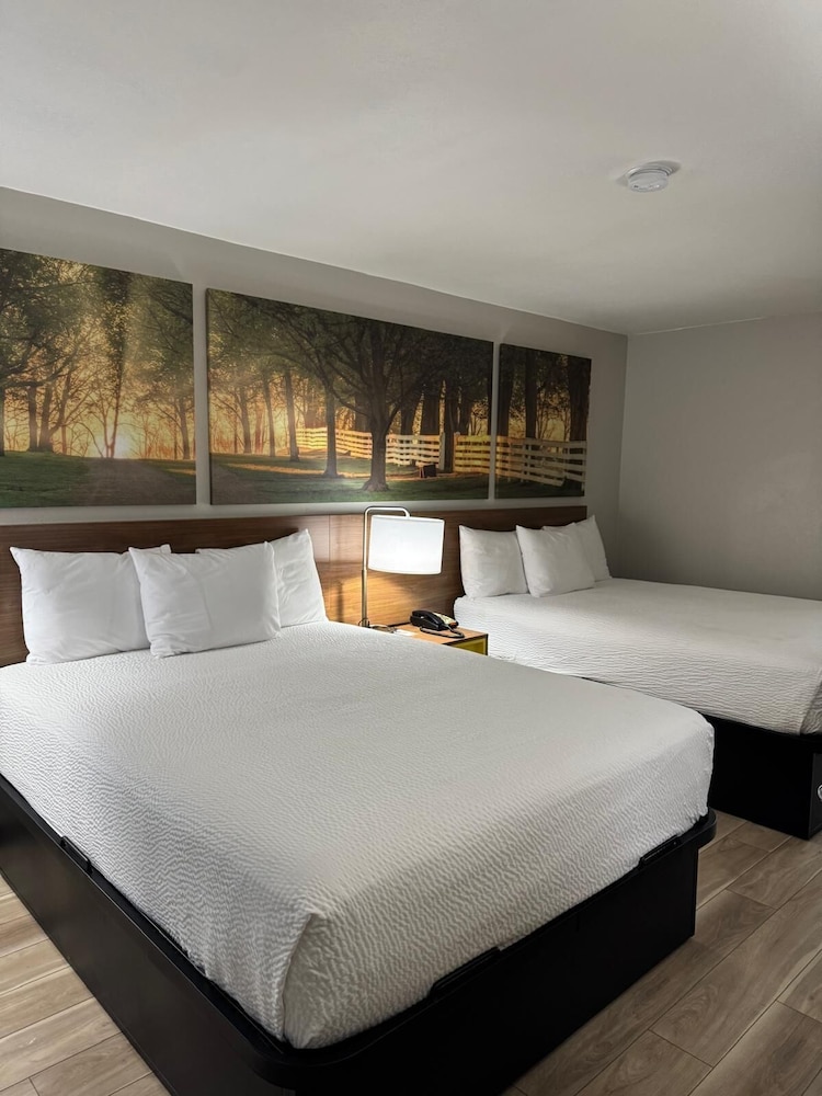 Room, 2 Queen Beds, Non Smoking photo 3