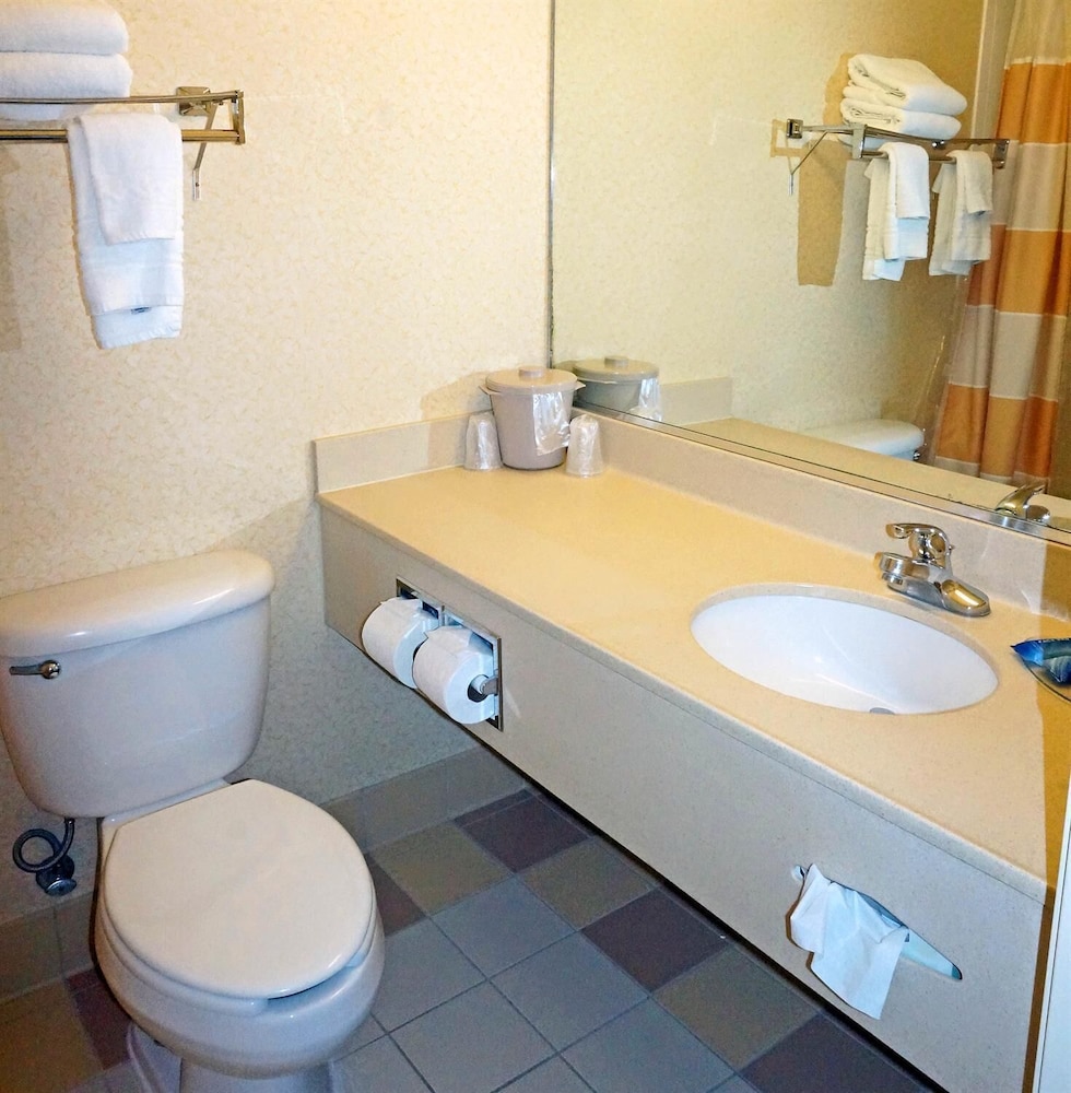 Deluxe Suite, 1 King Bed, Non Smoking, Refrigerator & Microwave - Photo 14