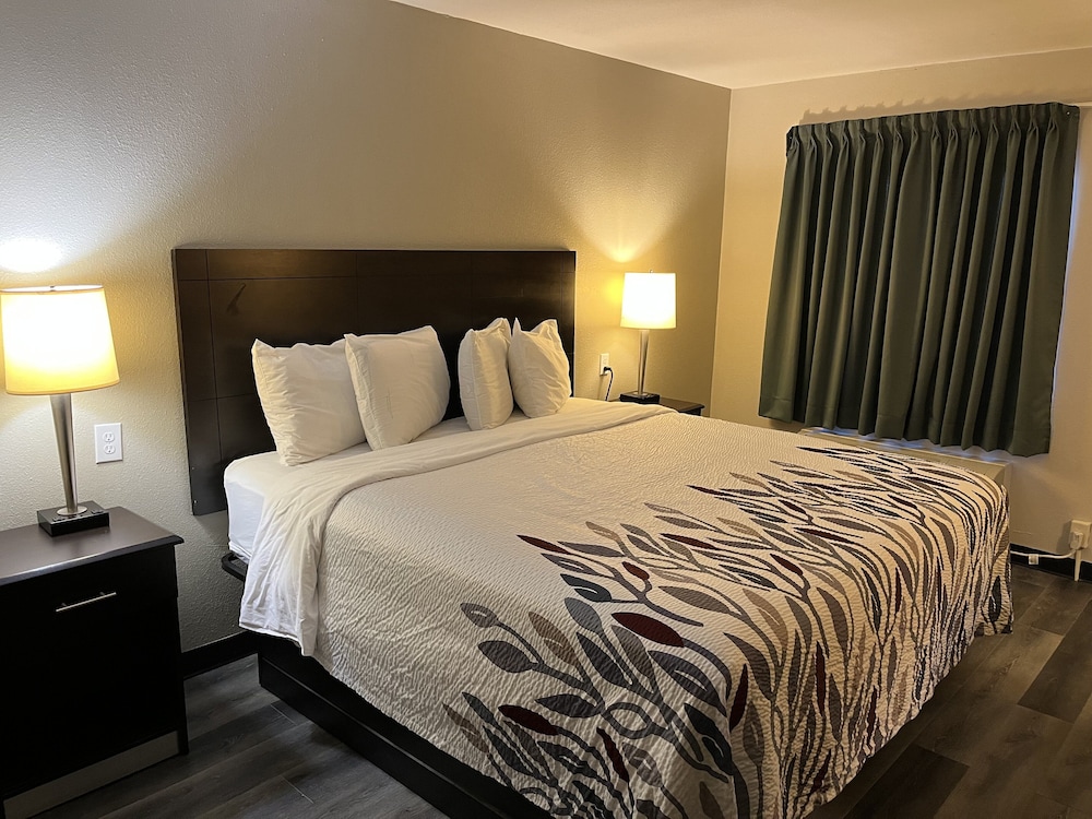 Deluxe Room, 1 King Bed, Non Smoking - Photo 2