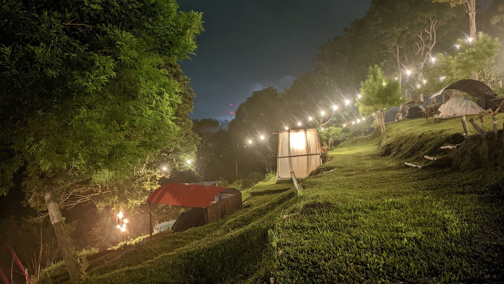Basic Tent photo 1