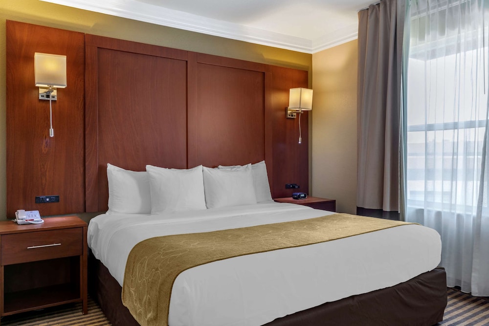 Executive Suite, 1 King Bed with Sofa bed, Non Smoking - Photo 1