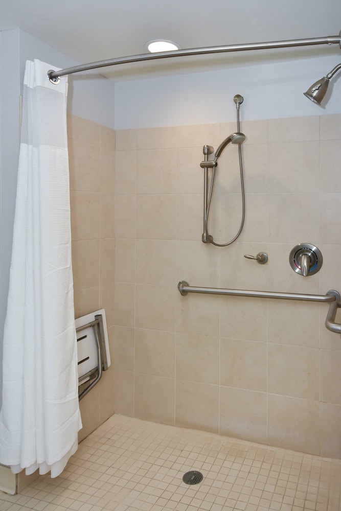 Room, 1 King Bed (Mobility/Hearing Access, Roll-In Shwr) - Photo 4