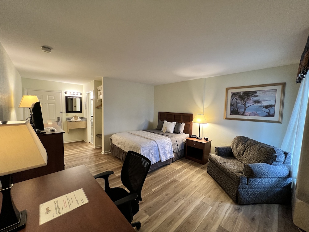 Room, 1 Queen Bed with Sofa bed, Non Smoking (Veranda No Pets) - Photo 2