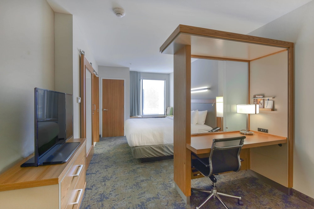 Suite, 1 King Bed with Sofa bed (Mobility Accessible, Roll-In Shower) photo 3