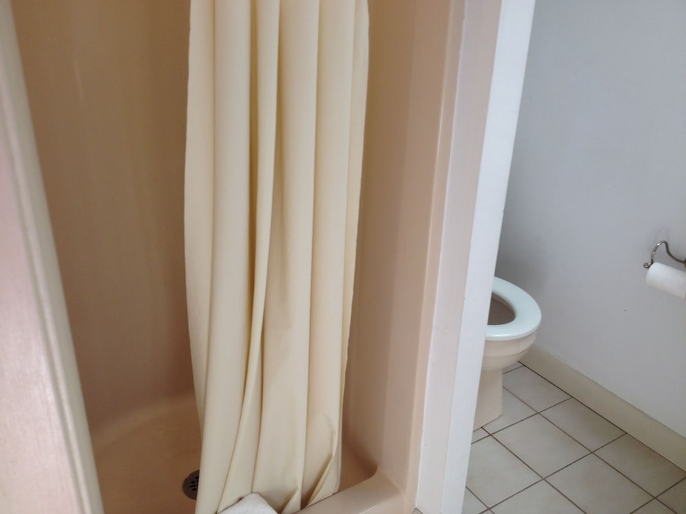 Suite, Kitchenette photo 2
