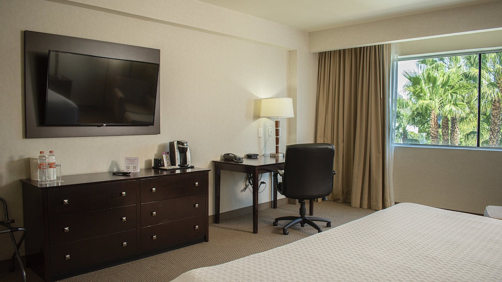 Suite, 1 King Bed - Photo 5