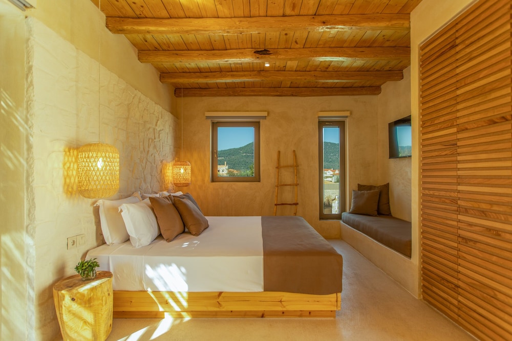 Premium Suite | Plunge Pool photo 1