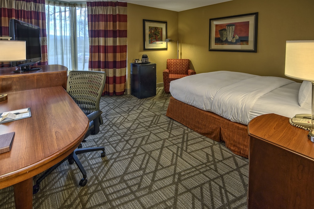 Room, 1 Queen Bed, Accessible (Roll-in Shower) - Photo 7