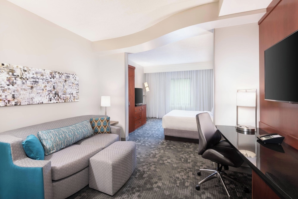 Suite, 1 King Bed with Sofa bed