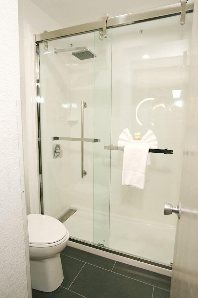 Studio Suite, 1 King Bed, Non Smoking (Pet-Friendly) photo 2