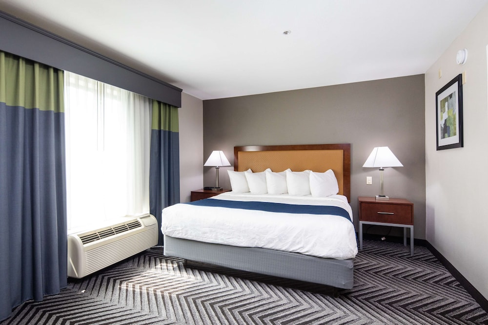 Suite, 1 King Bed, Non Smoking, Microwave - Photo 4