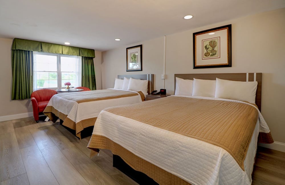 Room, 2 Double Beds