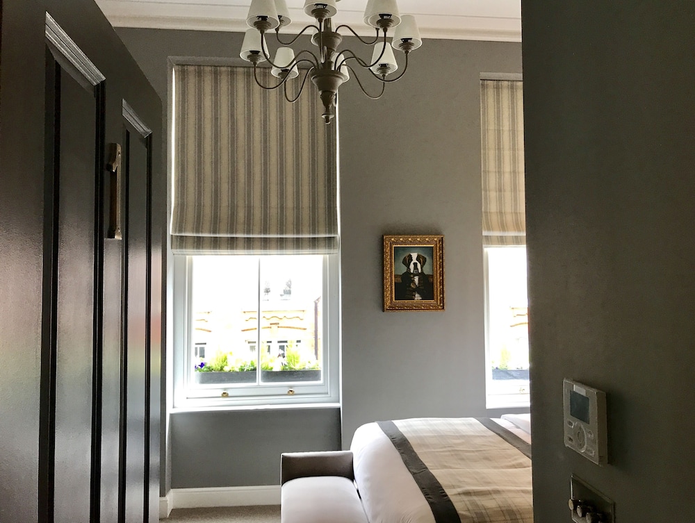 Large Double Room, 1 King Bed photo 3
