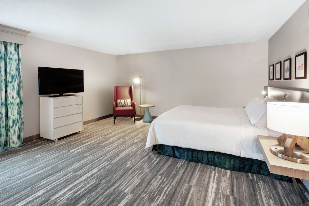 Room, 1 King Bed, Accessible - Photo 2