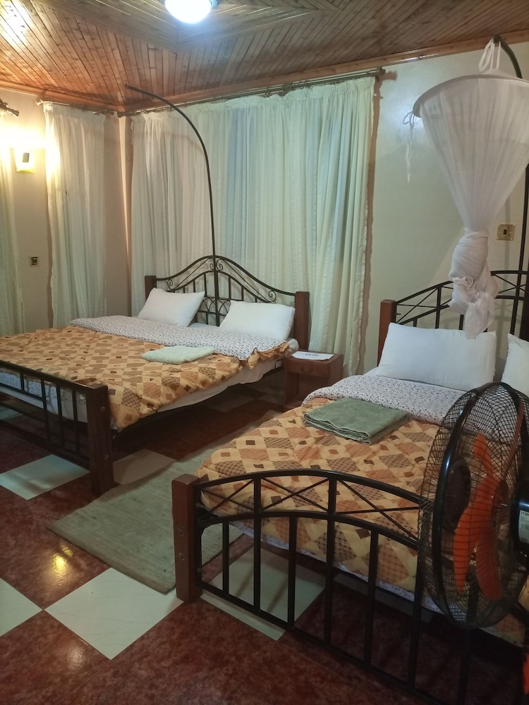 Twin Room photo 3