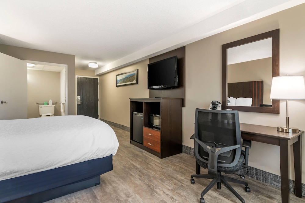 Standard Room, 1 King Bed, Non Smoking - Photo 4