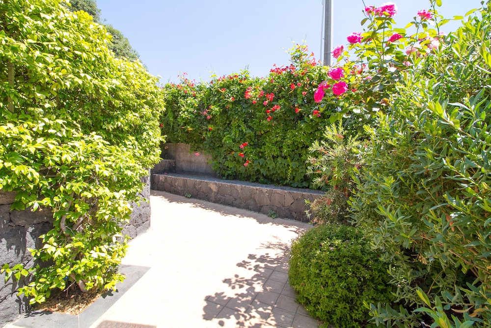 Family Apartment, 1 Bedroom, Garden View photo 3