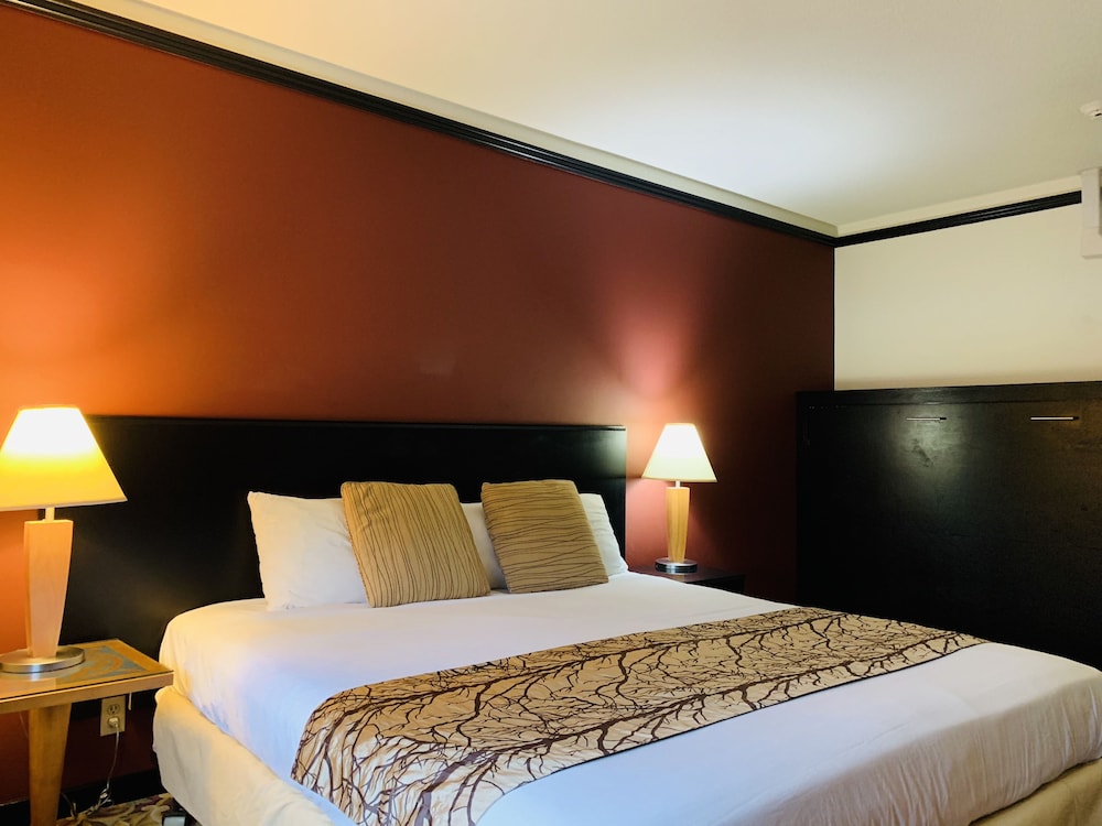 King Bed with Murphy Bed photo 1