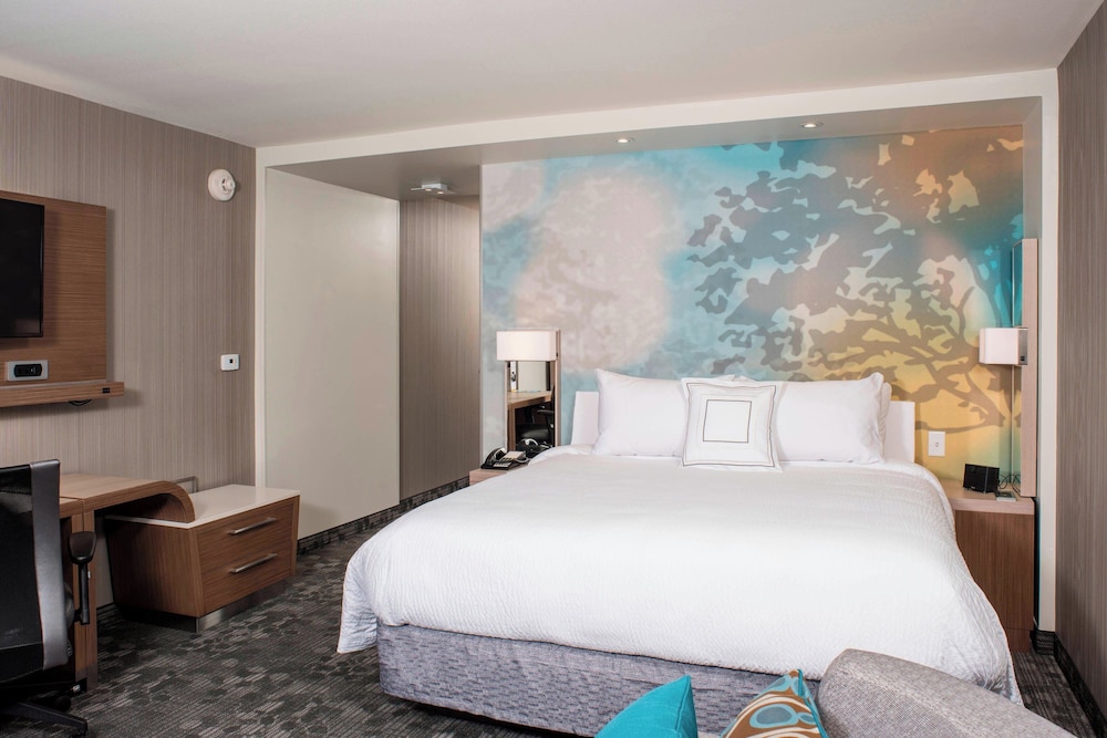 Room, 1 King Bed with Sofa bed