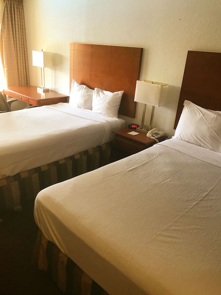 Double Room, 2 Double Beds - Photo 3