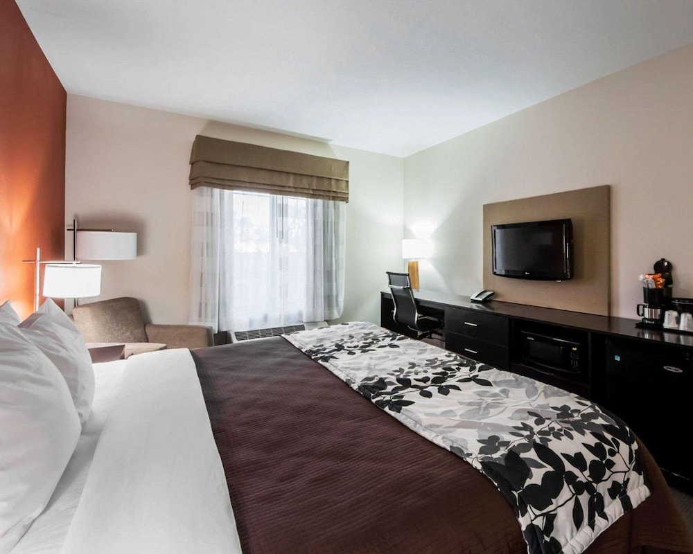 Room, 1 King Bed, Accessible, Non Smoking photo 1